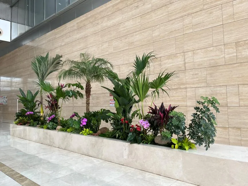 慈溪绿植租摆方案