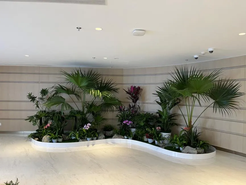 想给宁波江北办公室添绿？这家绿植租赁价格超亲民！